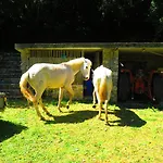 Quinta De Rio Alcaide 3* Porto de Mós