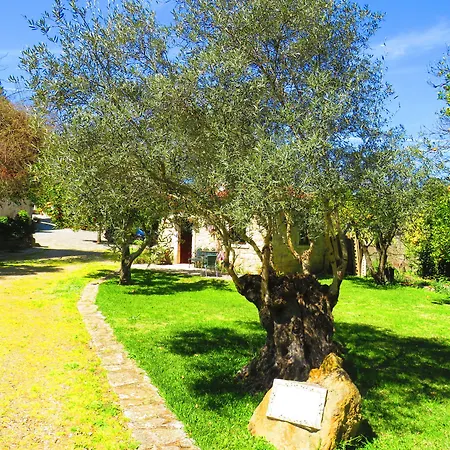 Quinta De Rio Alcaide ホテル Porto de Mós