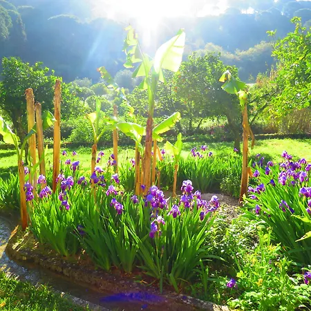 Hotel Quinta De Rio Alcaide