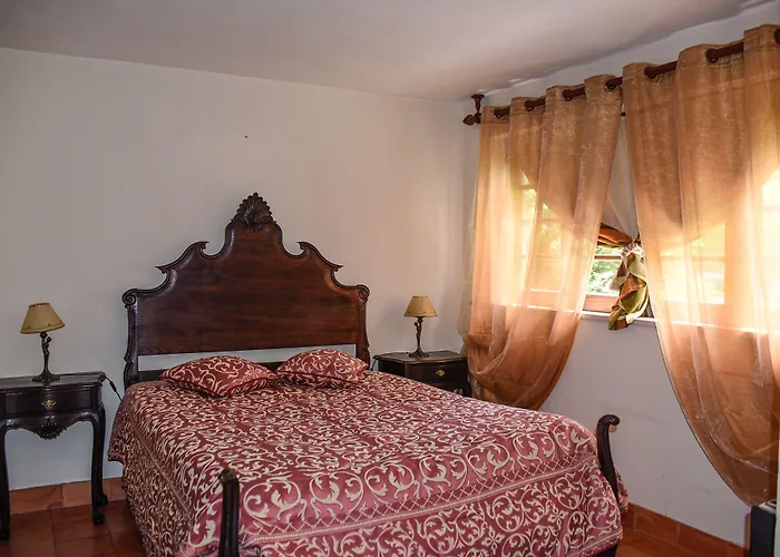 ホテル Quinta De Rio Alcaide