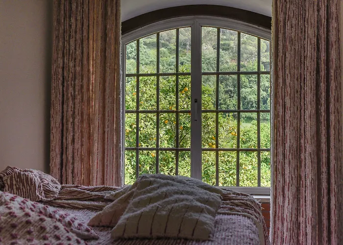 ホテル Quinta De Rio Alcaide Porto de Mós