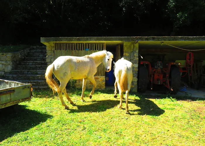 Quinta De Rio Alcaide 3* Porto de Mós