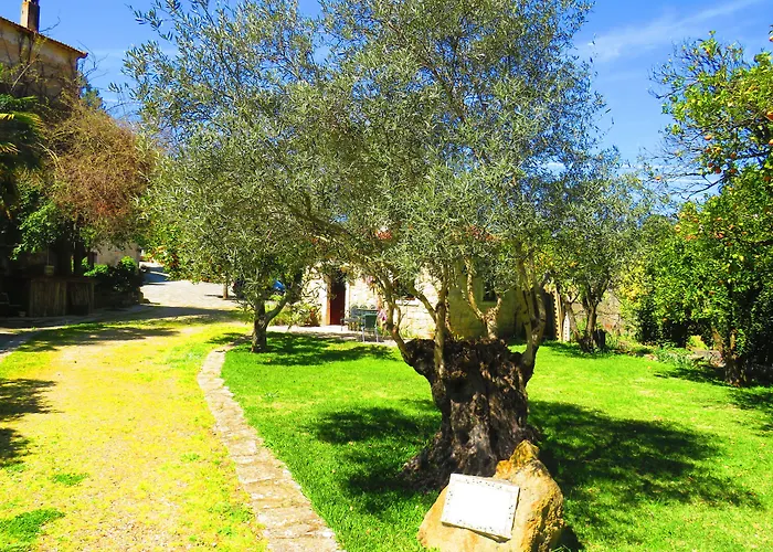 Quinta De Rio Alcaide ホテル Porto de Mós