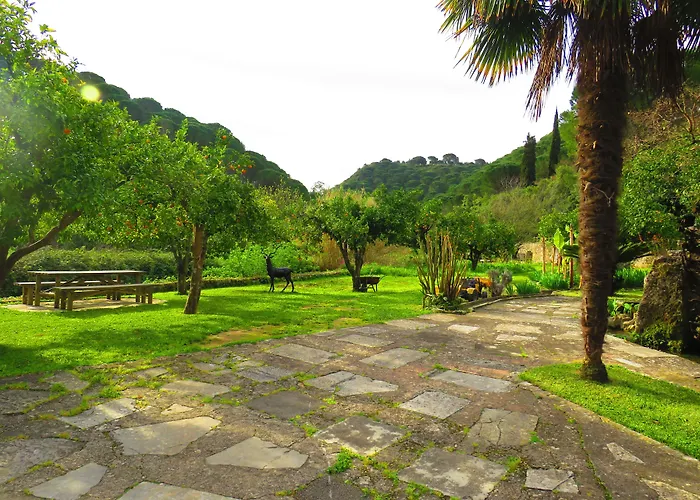 ホテル Quinta De Rio Alcaide Porto de Mós