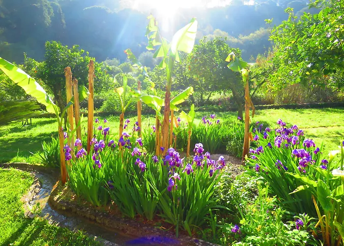 Hotel Quinta De Rio Alcaide