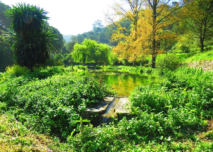 Quinta De Rio Alcaide 3*